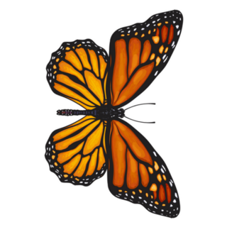Beautiful Monarch Butterfly Sticker