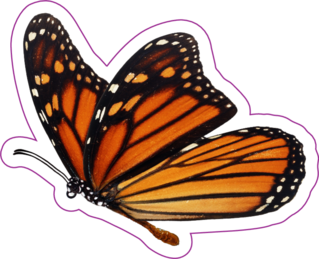 Beautiful Monarch Butterfly Sticker