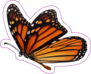 Beautiful Monarch Butterfly Sticker