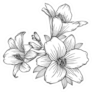 Beautiful Monochrome Black And White Bouquet Lily Sticker