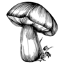 Beautiful Mushroom Illustration Sticker