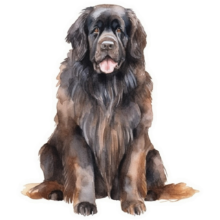 Beautiful Newfoundland Sticker