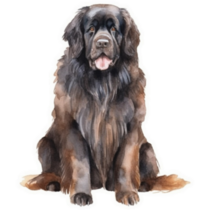 Beautiful Newfoundland Sticker