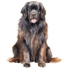 Beautiful Newfoundland Sticker