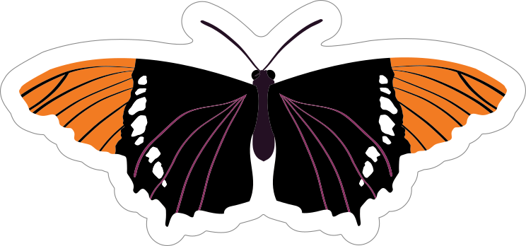Beautiful Orange and Black Butterfly Sticker