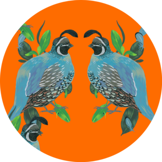 Beautiful Partridge Birds On Orange Sticker