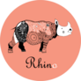 Beautiful Patterned Rhinoceros Sticker