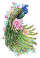 Beautiful Peacock And Peony Flowers Watercolor Sticker
