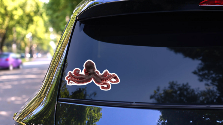 Beautiful Photo Of A Squid Tentacles Sticker on a Rear Car Window (New) example