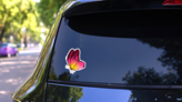 Beautiful Pink and Yellow Butterfly Sticker on a Rear Car Window (New) example
