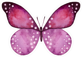 Beautiful Pink & Black Watercolor Butterfly Sticker