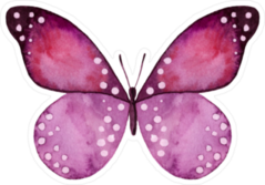 Beautiful Pink & Black Watercolor Butterfly Sticker