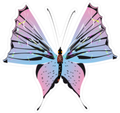 Beautiful Pink, Blue and Black Butterfly Sticker