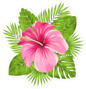 Beautiful Pink Hibiscus Flowers Blossom and Leaves Sticker