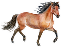 Beautiful Purebred Red Horse Sticker