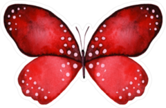 Beautiful Red & Black Watercolor Butterfly Sticker