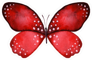 Beautiful Red & Black Watercolor Butterfly Sticker