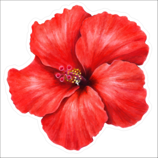 Beautiful Red Hibiscus Sticker