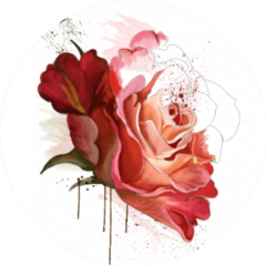 Beautiful Rose, Watercolor Paint Dripping Sticker
