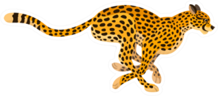 Beautiful Running Cheetah Big Wild Cat Sticker