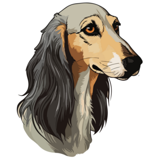 Beautiful Saluki Sticker