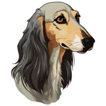 Beautiful Saluki Sticker