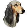 Beautiful Saluki Sticker