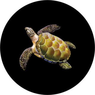 Beautiful Sea Turtle Sticker