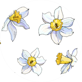 Beautiful Seamless Daffodil Floral Pattern Sticker