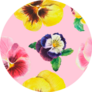 Beautiful Seamless Floral Pansy Pattern On Pink