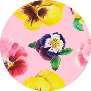 Beautiful Seamless Floral Pansy Pattern On Pink