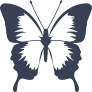 Beautiful Shaded Butterfly Sticker