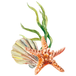 Beautiful Starfish Sea Sticker