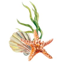 Beautiful Starfish Sea Sticker