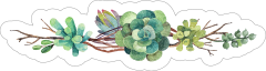 Beautiful Succulent Border Sticker