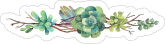Beautiful Succulent Border Sticker