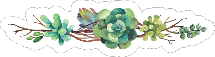 Beautiful Succulent Border Sticker