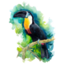 Beautiful Toucan On A Green Background Sticker