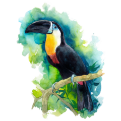 Beautiful Toucan On A Green Background Sticker