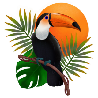 Beautiful Tropical Toucan Sticker