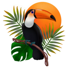 Beautiful Tropical Toucan Sticker