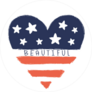 Beautiful USA Heart Sticker