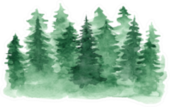 Beautiful Watercolor Green Coniferous Forest Sticker