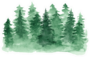 Beautiful Watercolor Green Coniferous Forest Sticker