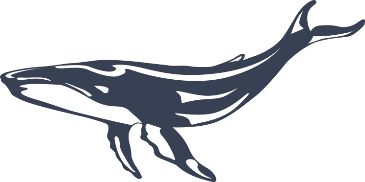 Beautiful Whale Sticker