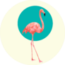 Beautiful Wild Bird Pink Flamingo On Green Sticker