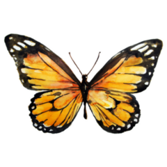 Beautiful Yellow Watercolor Butterfly Sticker