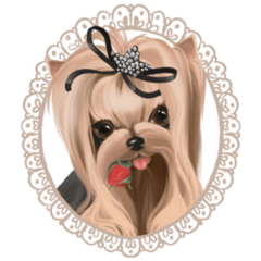 Beautiful Yorkie Portrait Sticker