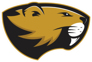 Beaver Head Mascot Sticker
