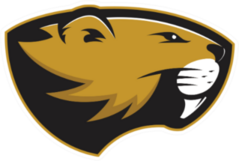 Beaver Head Mascot Sticker